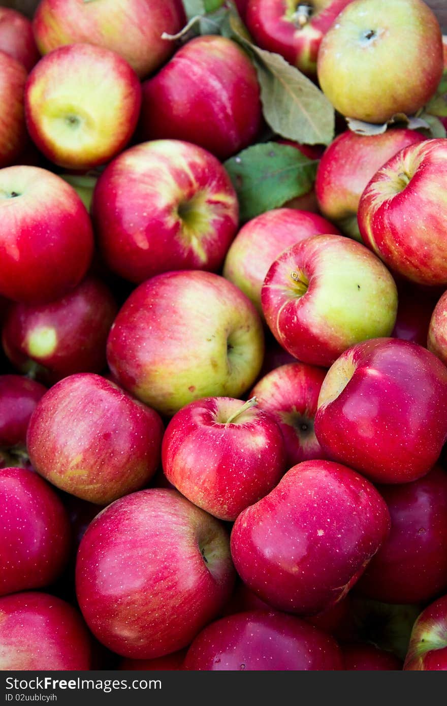 Pile of apples for sale at a farmer's market