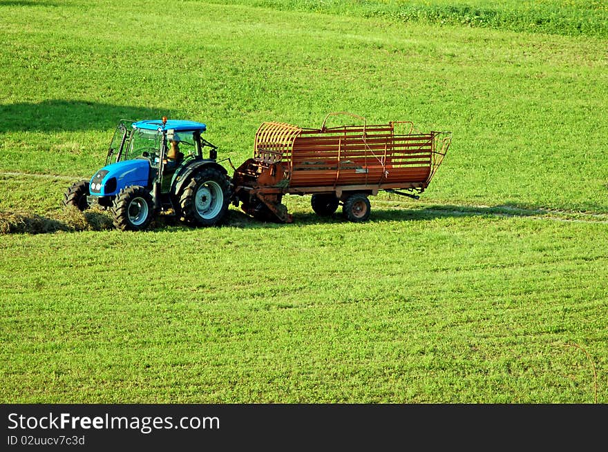 The Hay Harvest