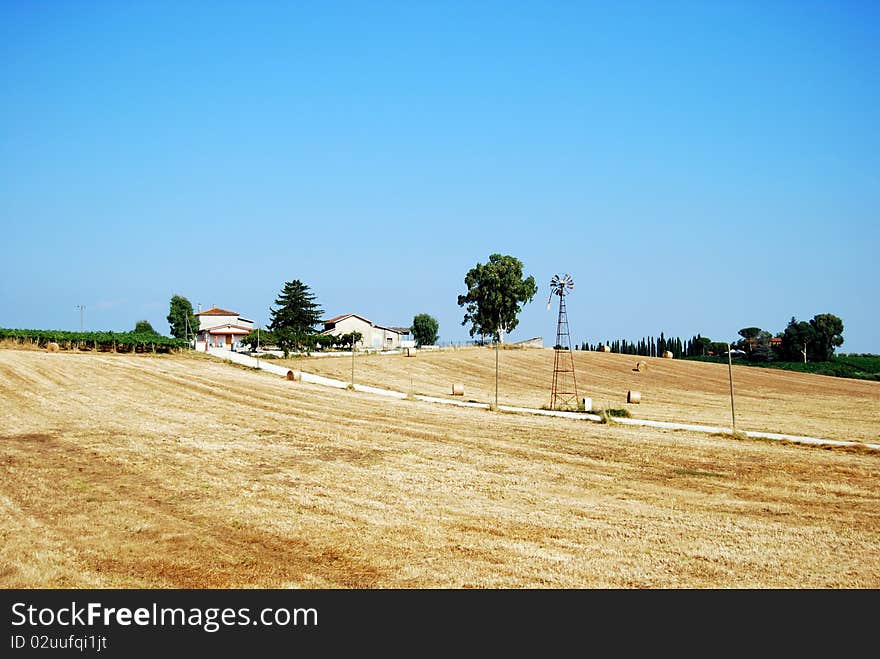 View Field of Velletri