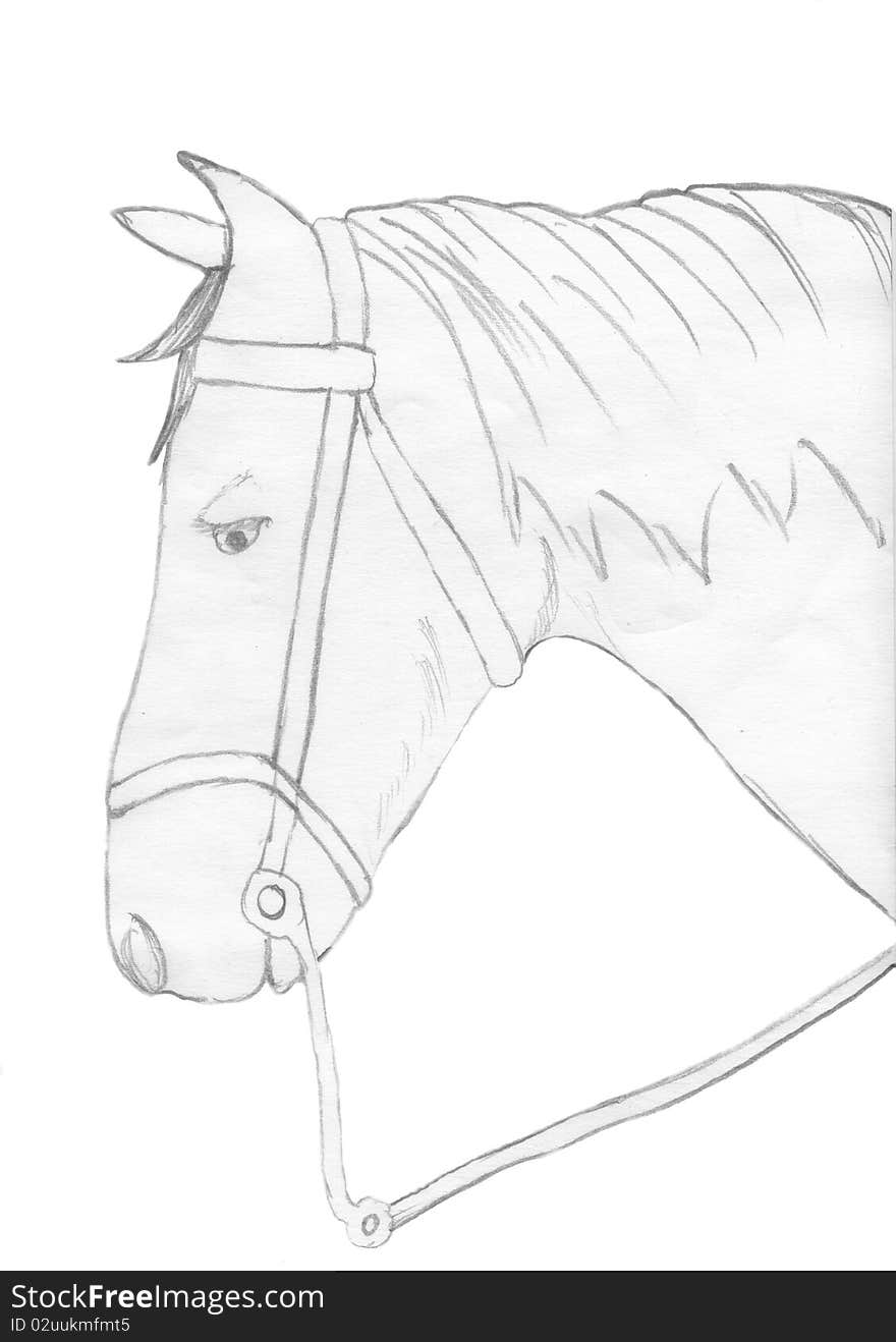 Horse Drawing