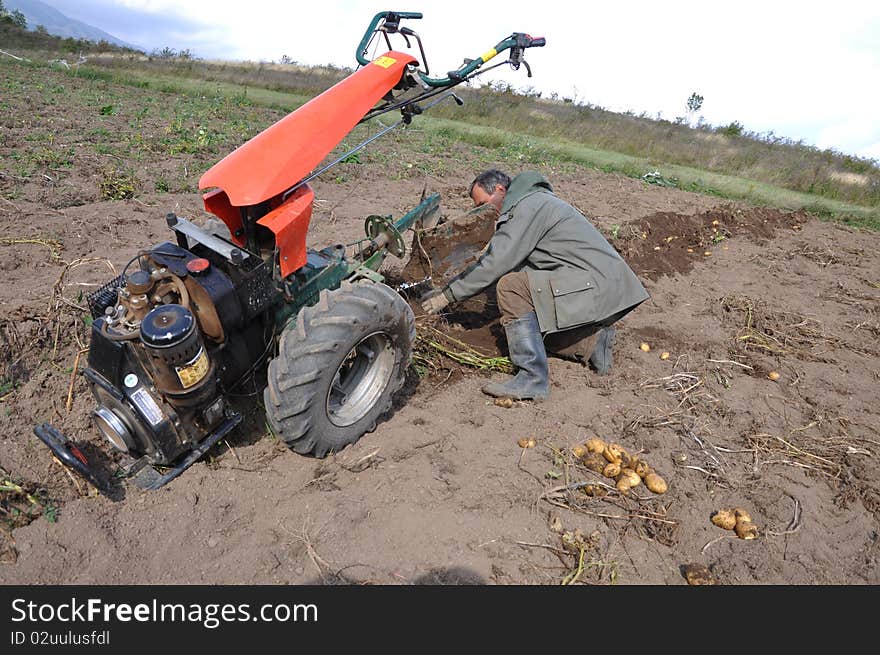 Farmer Plowing The Ground