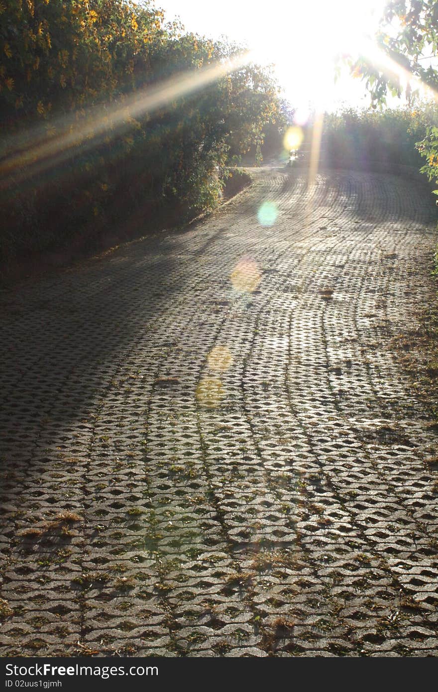 Morning Light On The Street In Pai