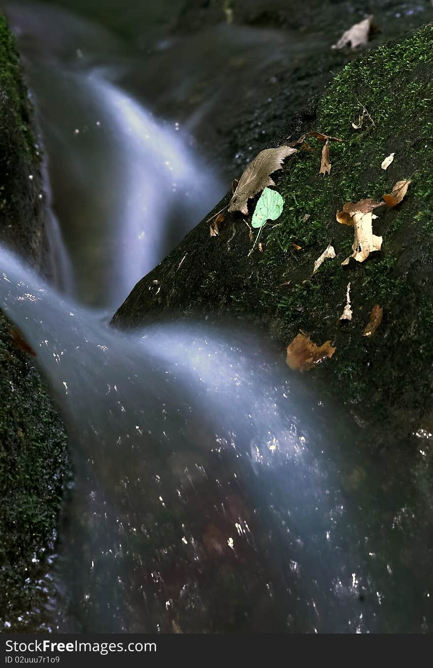 Colorful autumn leaves in waterfall. Colorful autumn leaves in waterfall