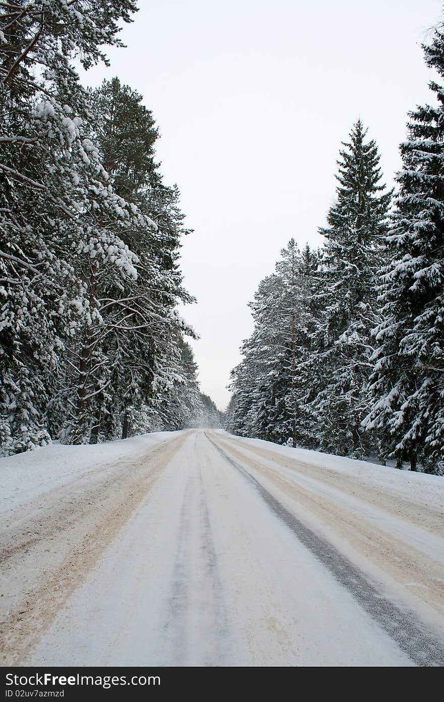 Long country road in snow