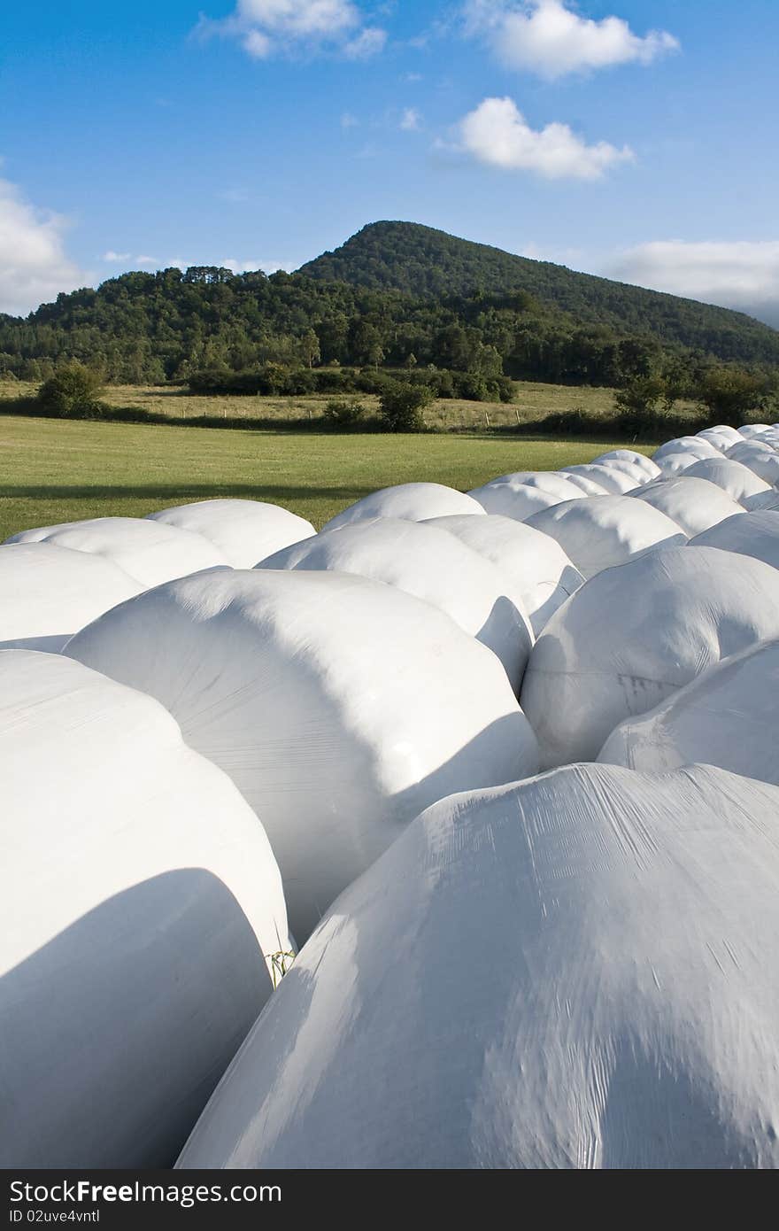 Hay balls in white plastic cover wrap bales stacked outdoor, for feeding animals in farms