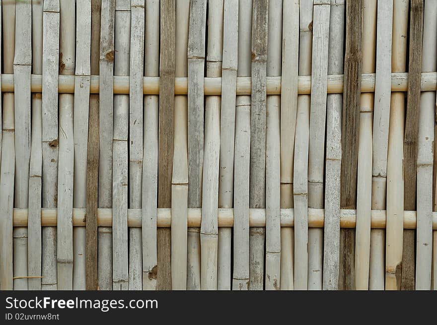 Bamboo texture