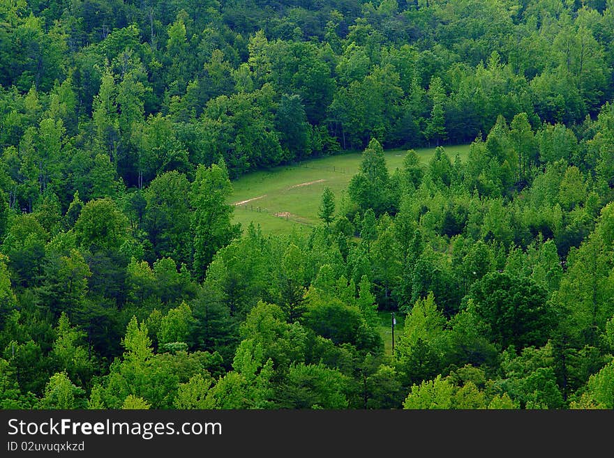 Overlook full of green lush trees,grass from an upper landing. Overlook full of green lush trees,grass from an upper landing