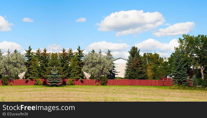 A house hidden behind the big trees. Panorama view. A house hidden behind the big trees. Panorama view.