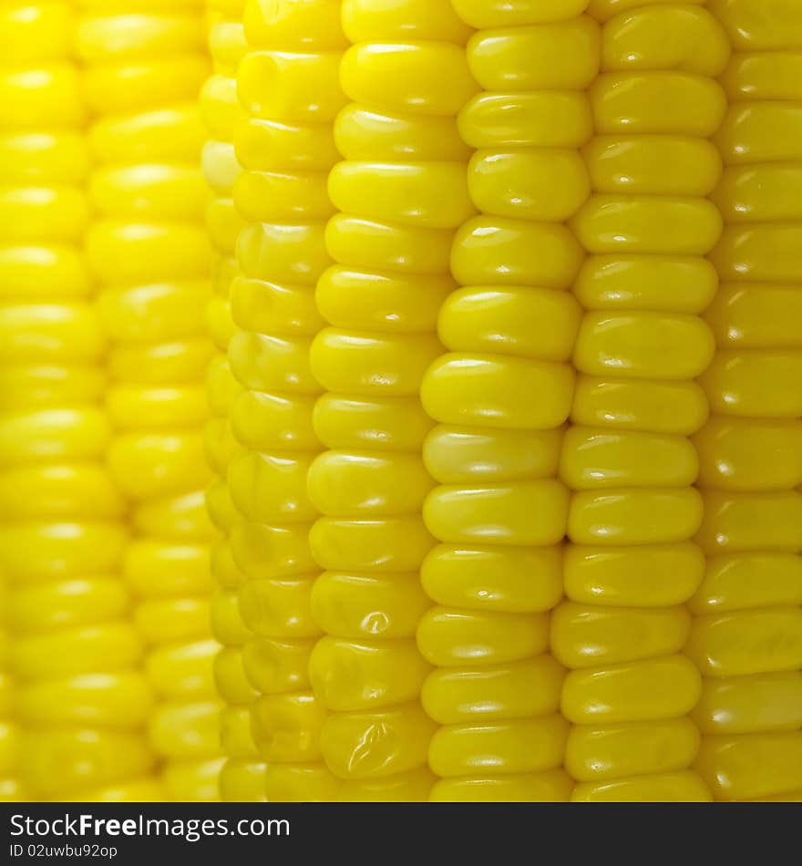 Close-up of yellow sweet corn background