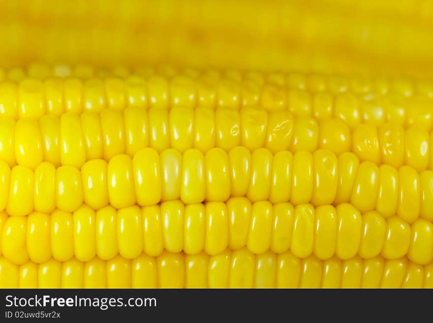 Close-up of yellow sweet corn background