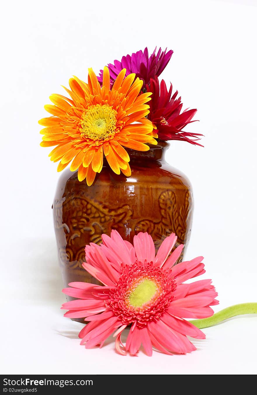 Gerbera inserted in the pots.