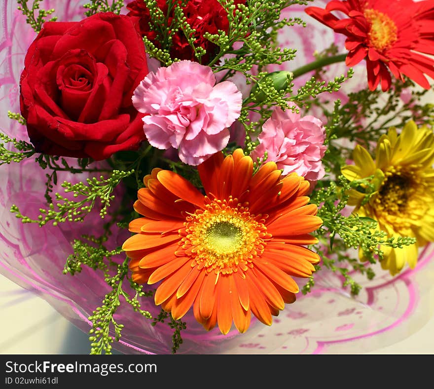 Carnation and gerbera