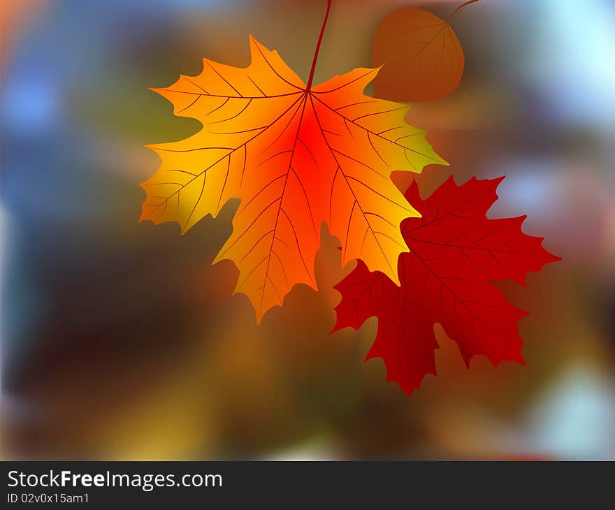 Autumn Leaves, Very Shallow Focus.