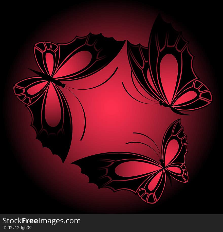 Beautiful butterfly for a design