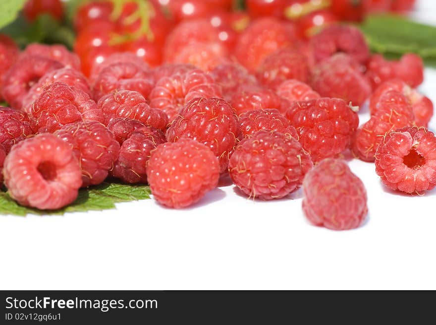 Garden Ripe Berries Isolated