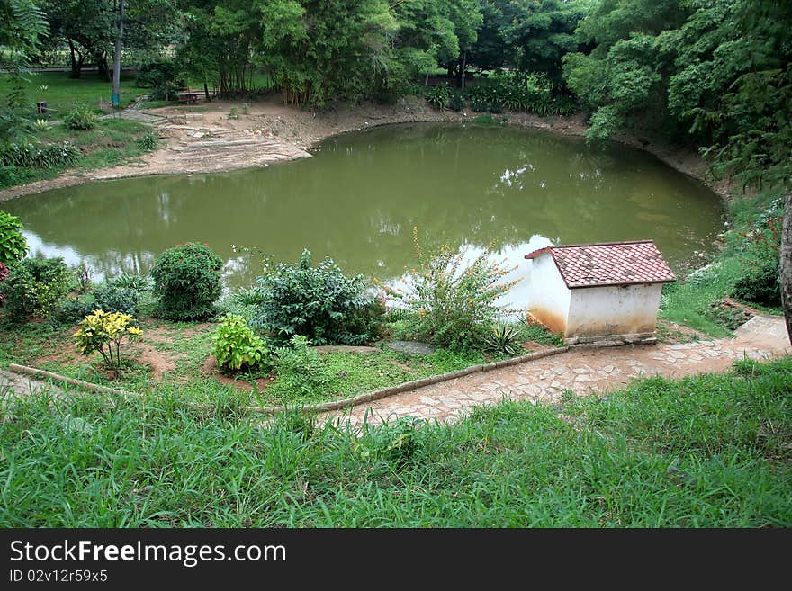 Pond in the middle of green setting in Lalbagh Botanical Garden, Bangalore, India, Asia. Pond in the middle of green setting in Lalbagh Botanical Garden, Bangalore, India, Asia