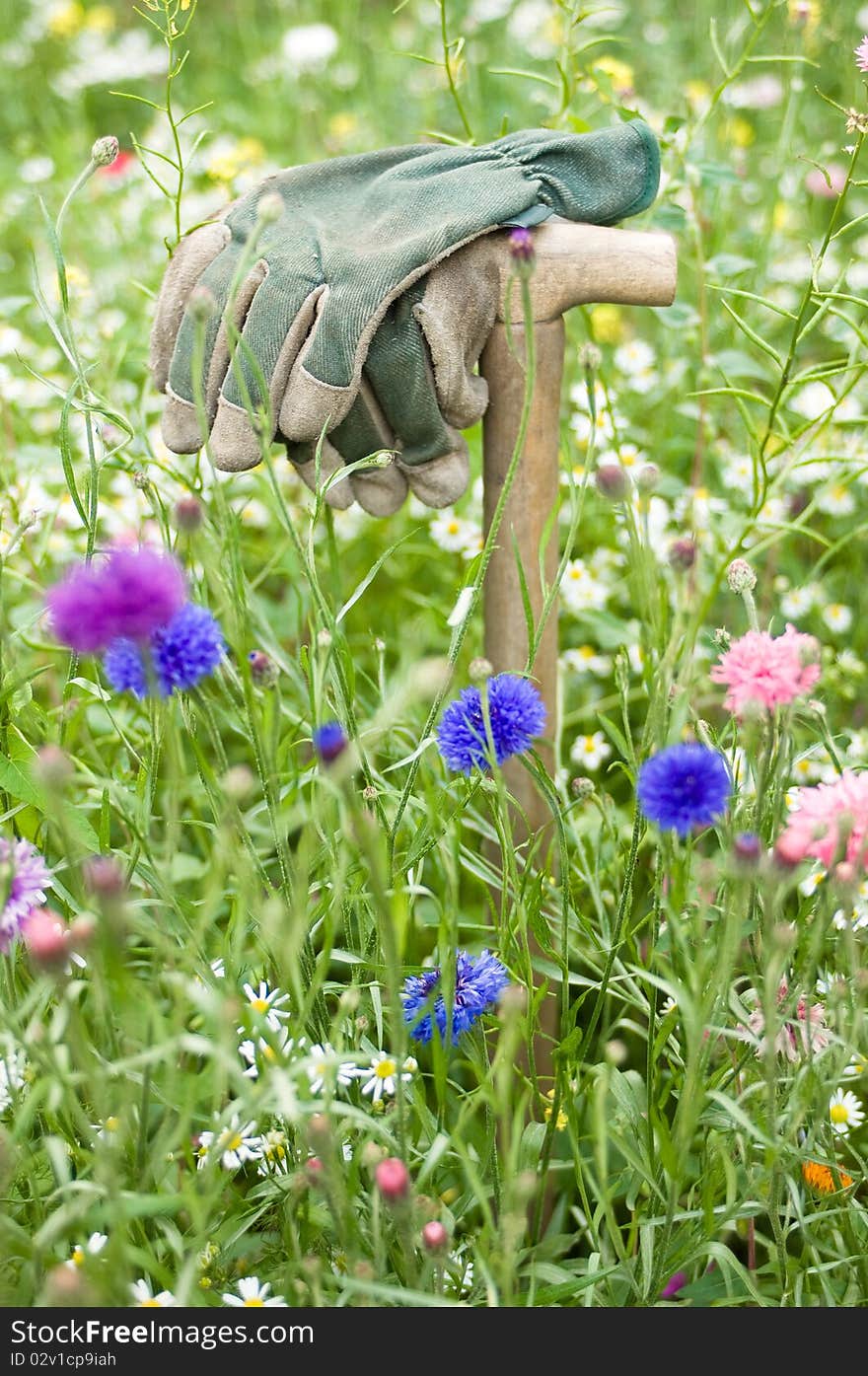 Garderners working gloves in a wild flower meadow