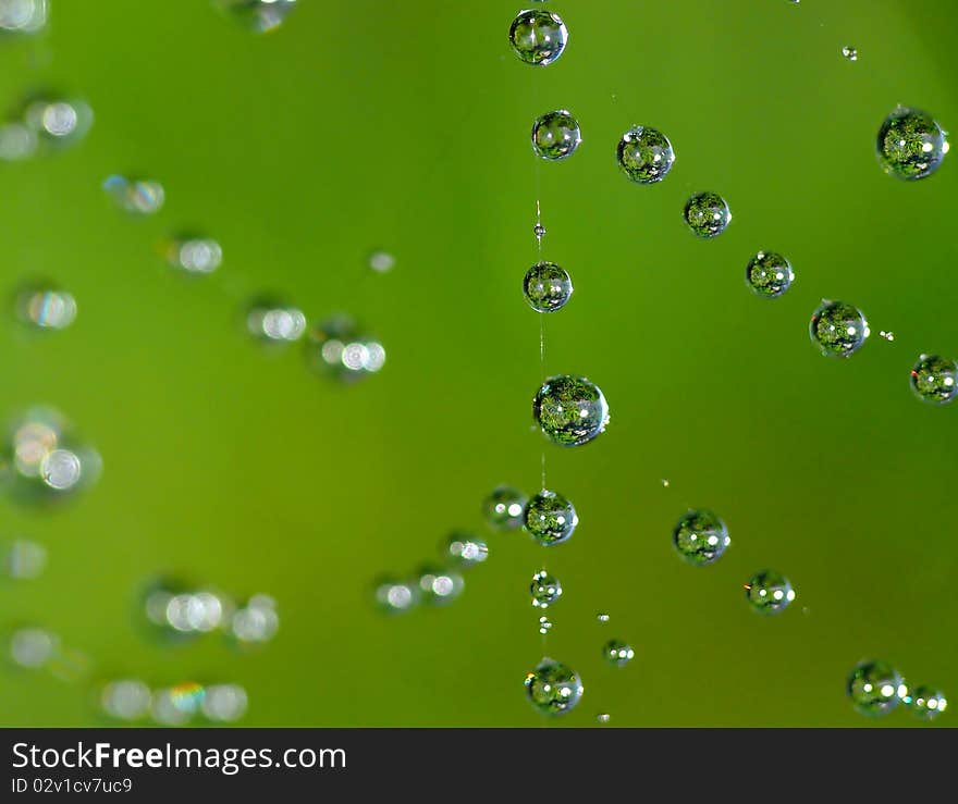 Small water drops