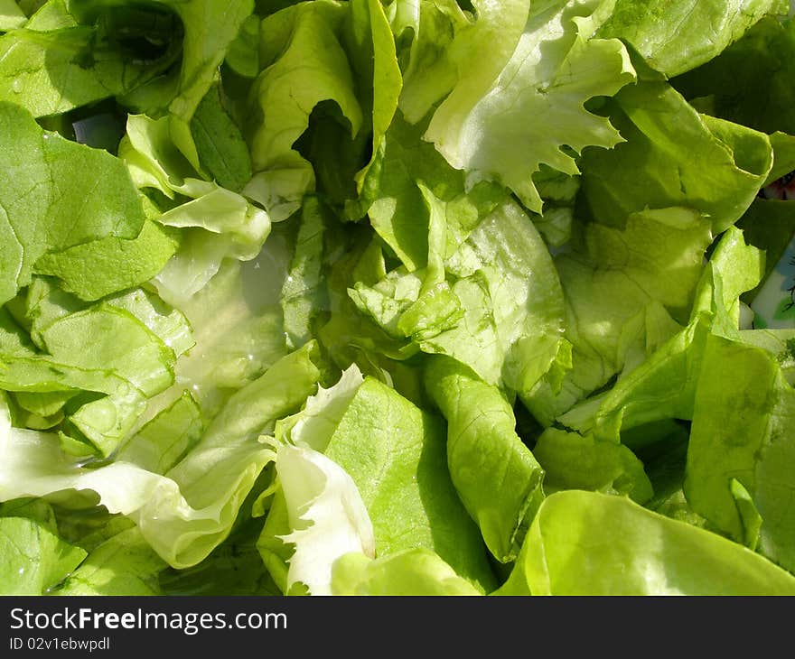 Detail photo of the fresh salad background