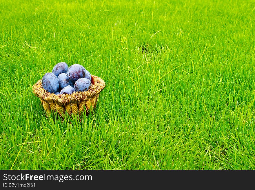 Plums in a wicker basket