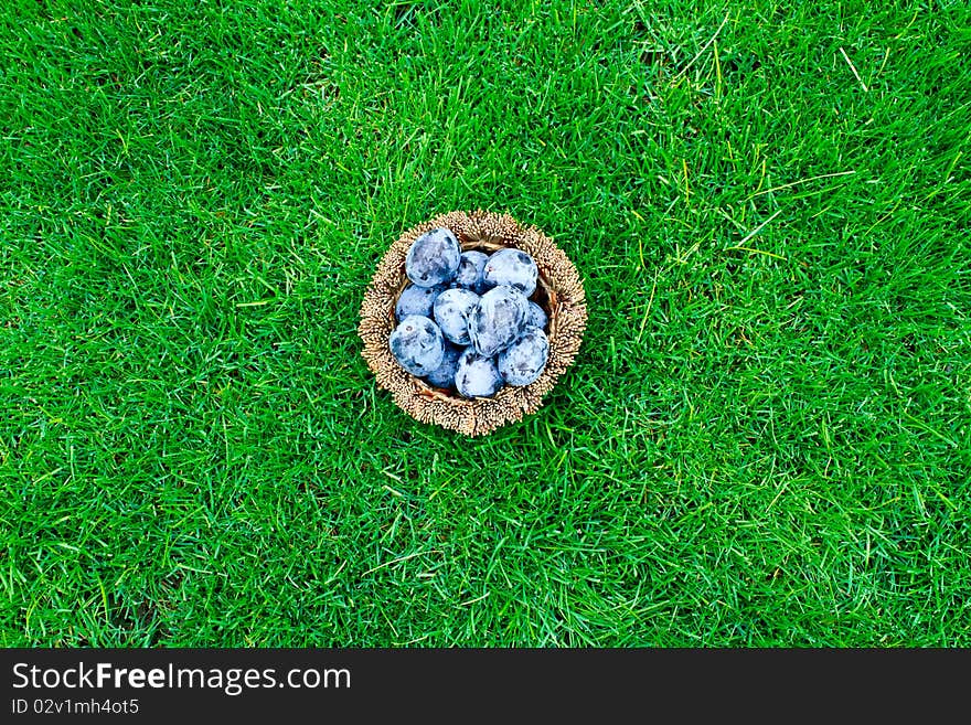 Plums in a wicker basket