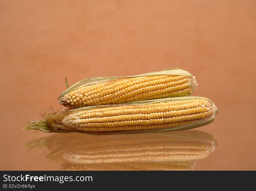 Raw corn isolated on brown background with reverberation