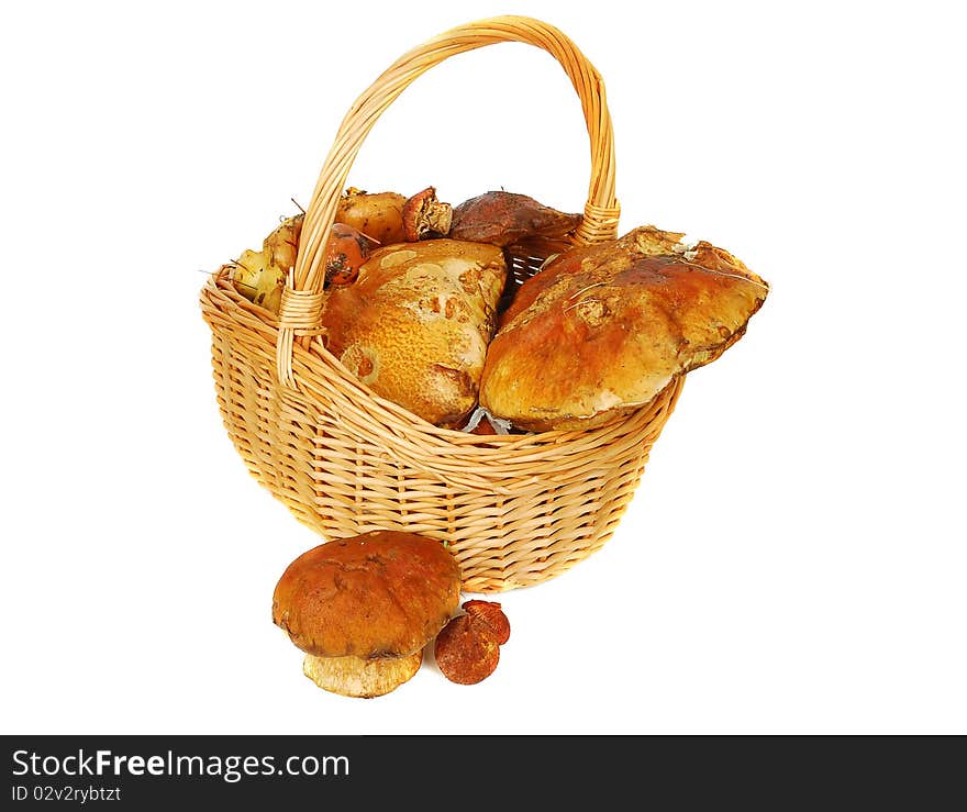 Fresh mushrooms in the basket isolated on the white background. Fresh mushrooms in the basket isolated on the white background.