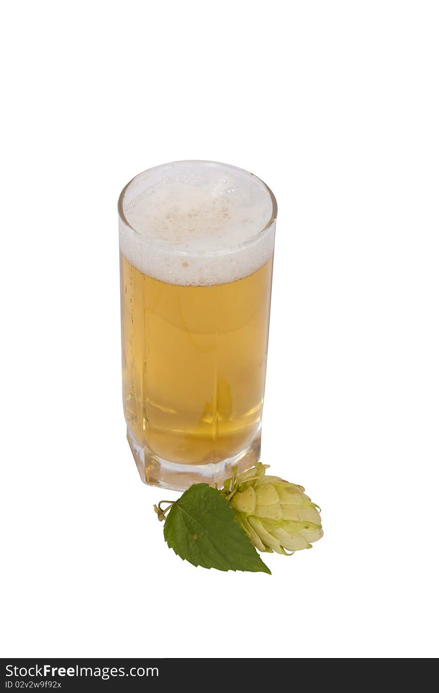 Beer in glass with hop cone isolated on white background