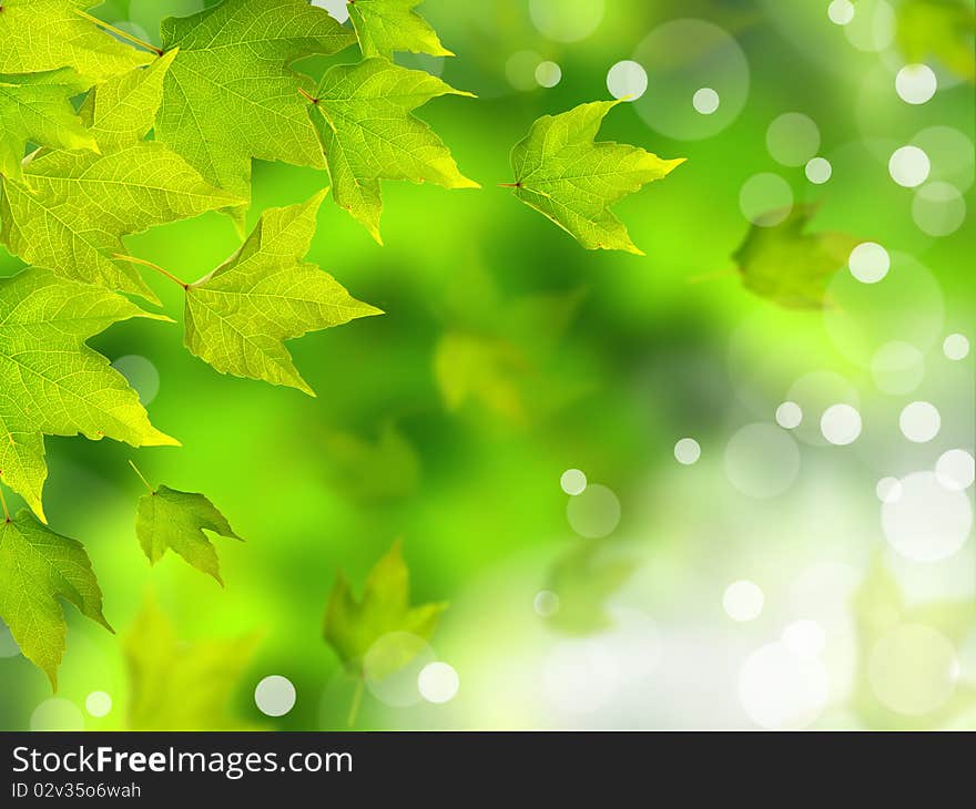 Falling leaves with blur shiny background. Falling leaves with blur shiny background