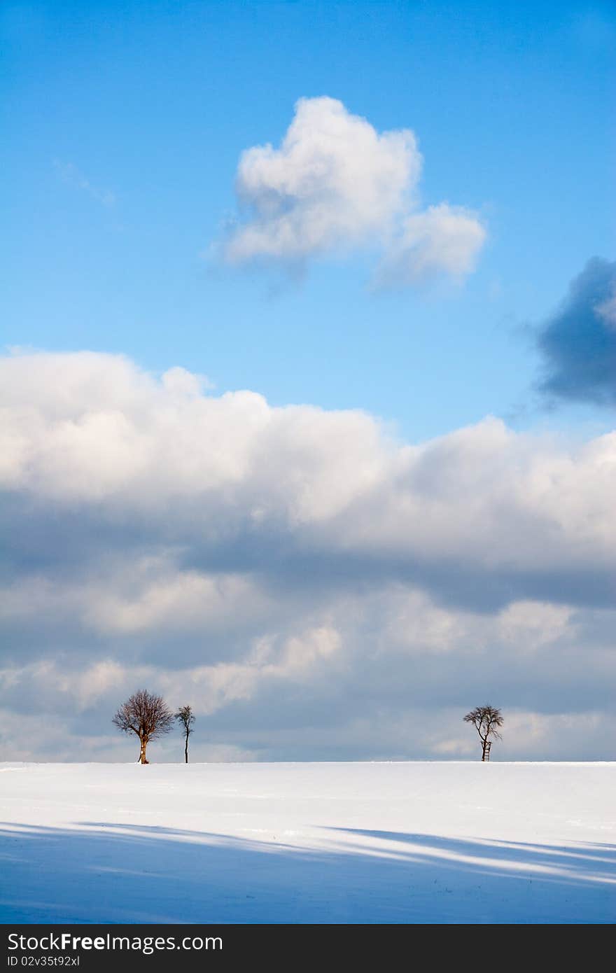 Winter landscape with trees and clouded sky