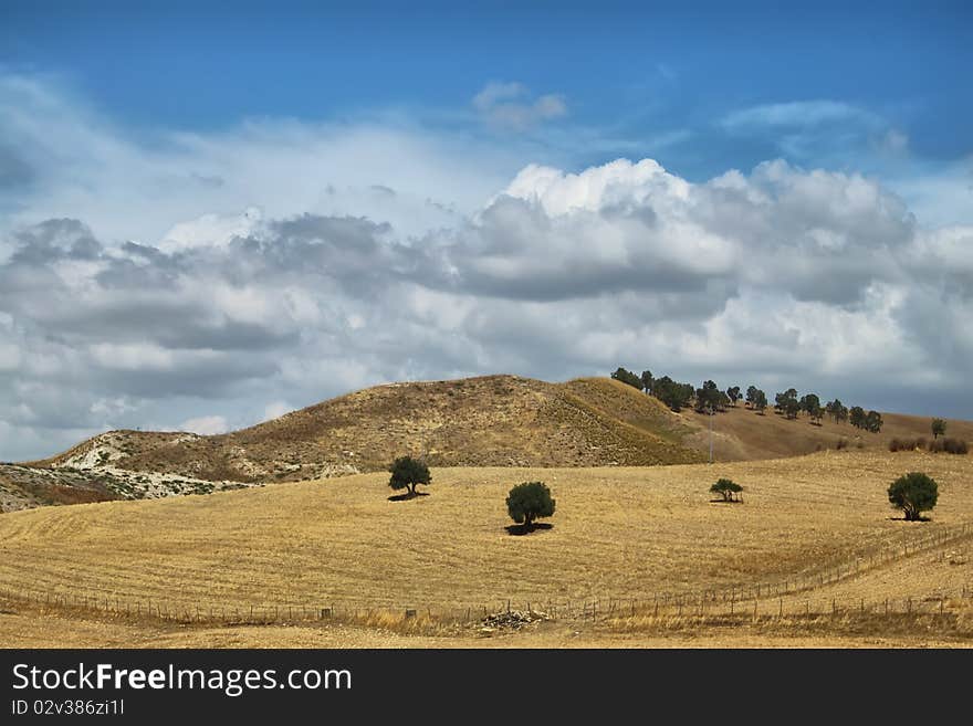 Photo of rural landscape in Sicily, Italy