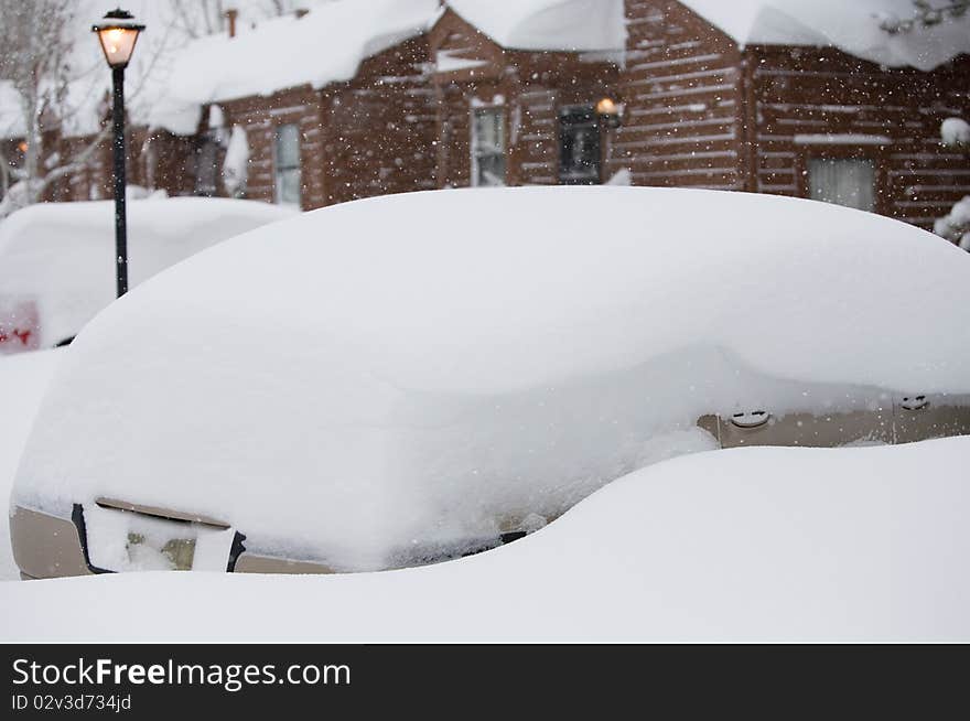 From the December 2006 holiday blizzard in Denver, Colorado. 

Pictures taken during the storm - falling snow evident throughout image. From the December 2006 holiday blizzard in Denver, Colorado. 

Pictures taken during the storm - falling snow evident throughout image.