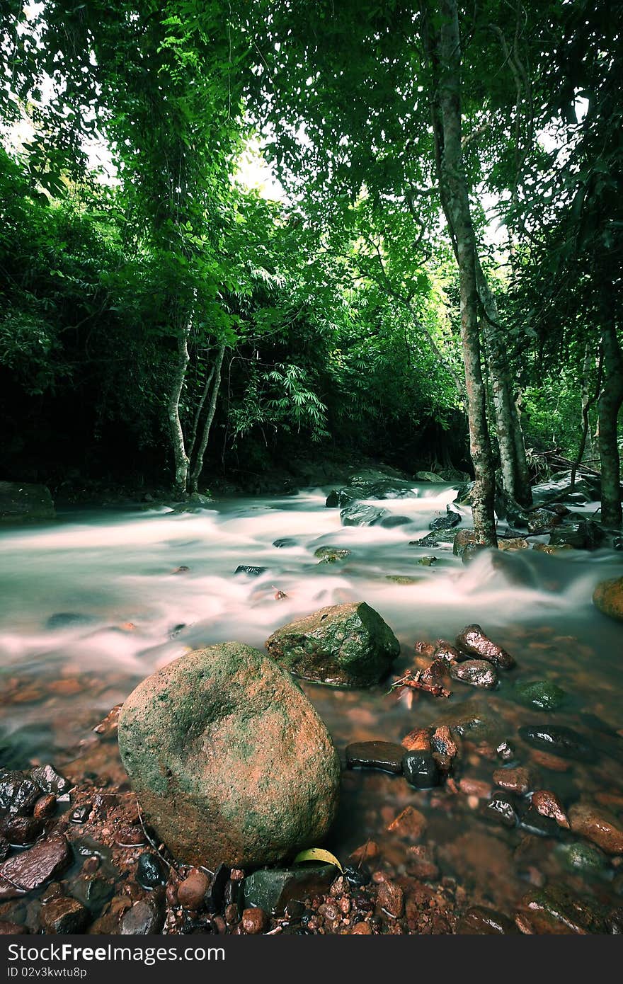 The stream in Jad Kod forest, Saraburi province, Thailand. The stream in Jad Kod forest, Saraburi province, Thailand.