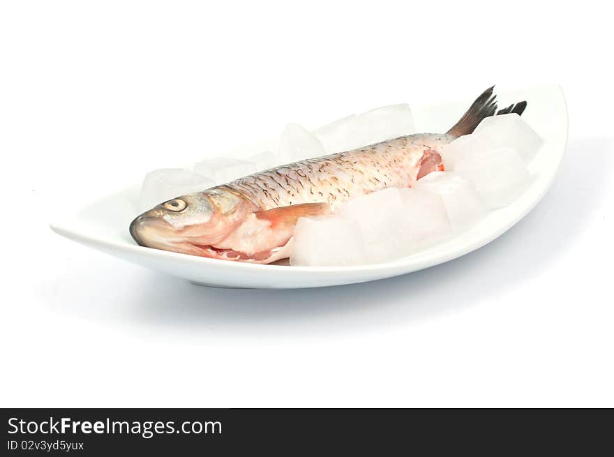 Frozen fish