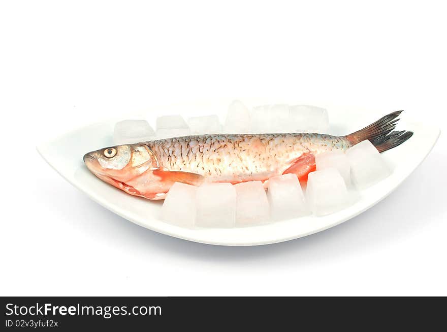 Frozen Fish