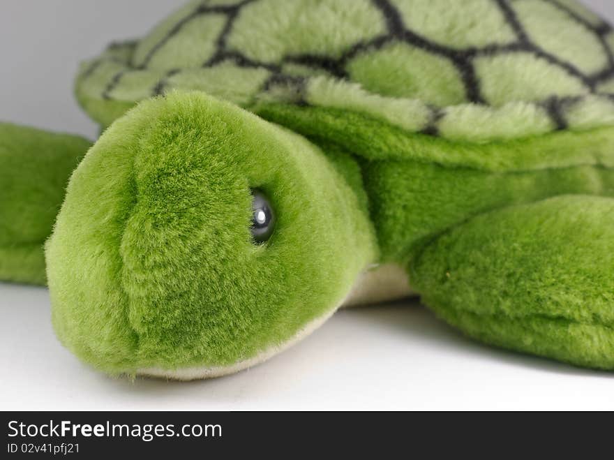 Turtle Toy