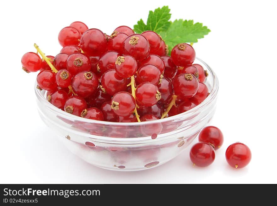 Ripe currant