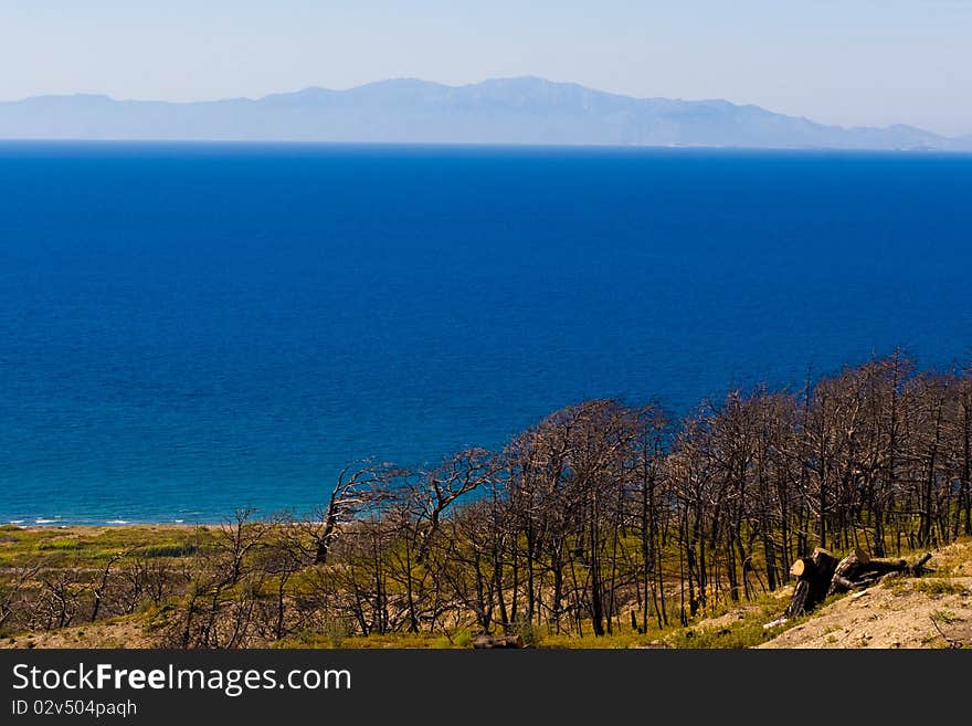 Trees on the shore, the sea and the mountains far away. Greece. Rhodes