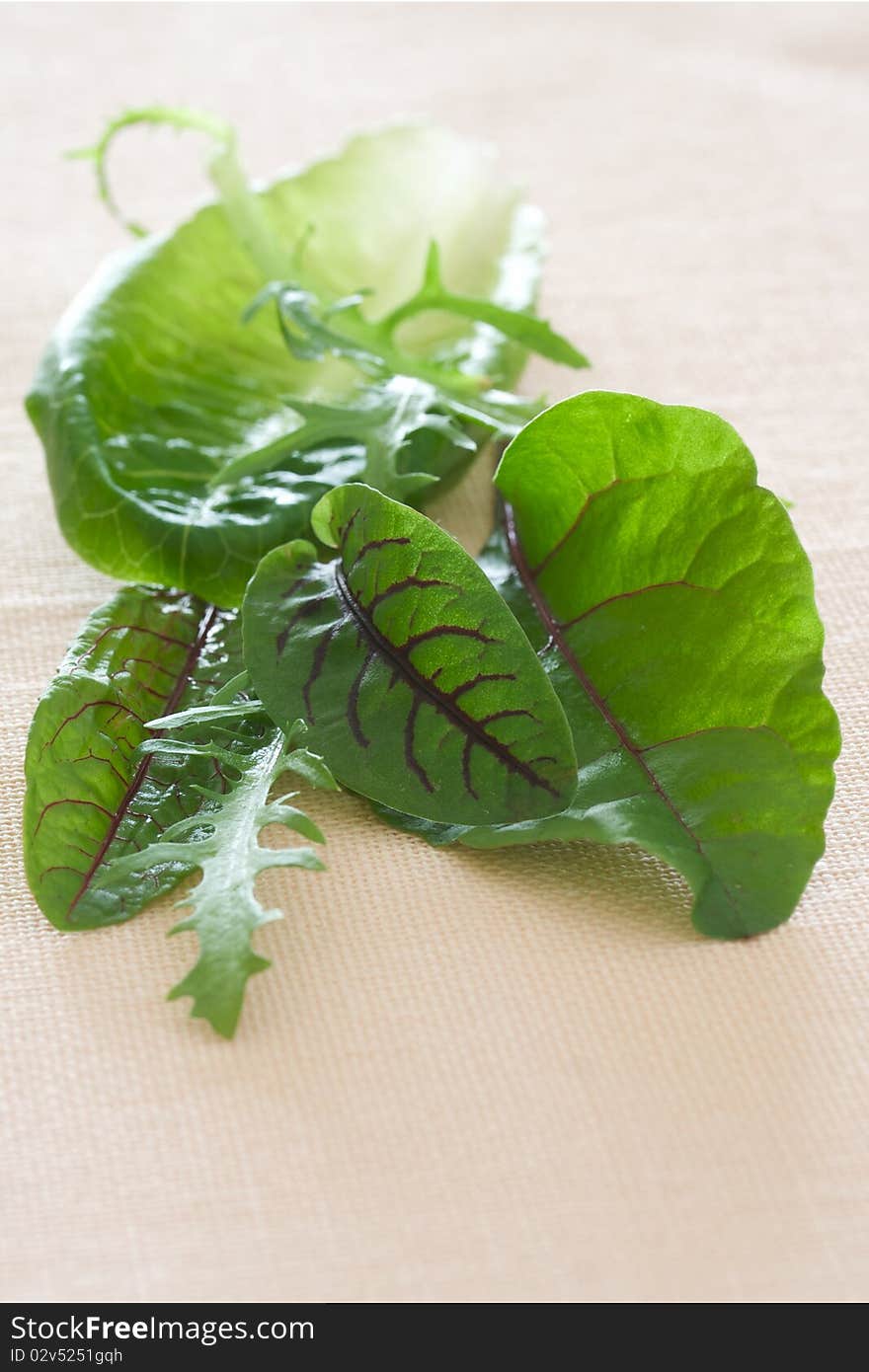 Nutritious mixed  green salad leaves and herbs on pink linen tablecloth. Nutritious mixed  green salad leaves and herbs on pink linen tablecloth