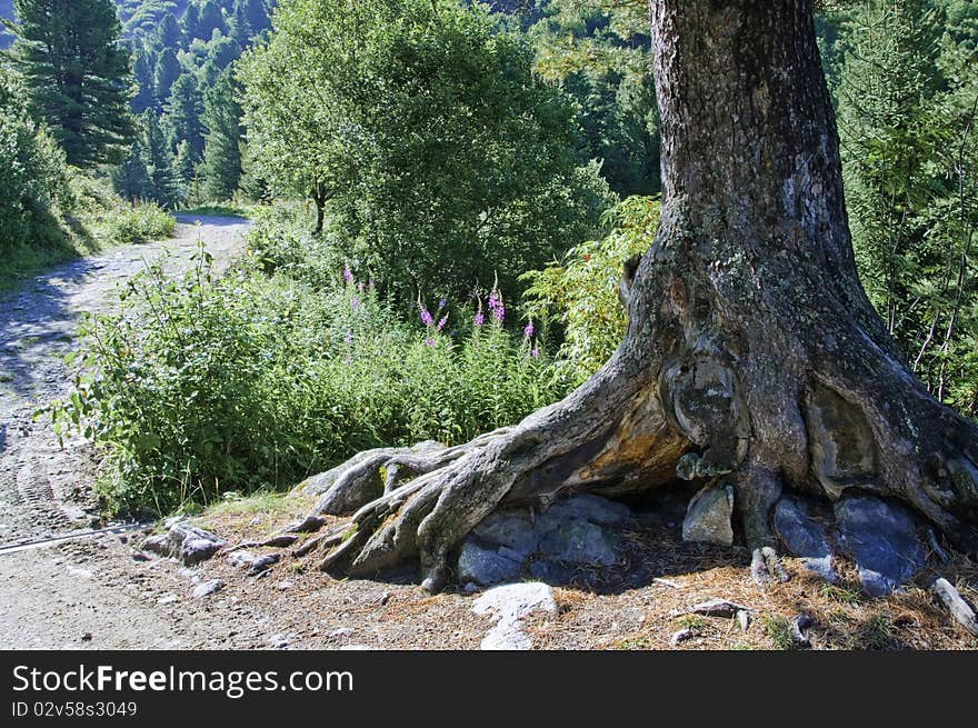 Views of the Vanoise National Park, from the village of Meribel