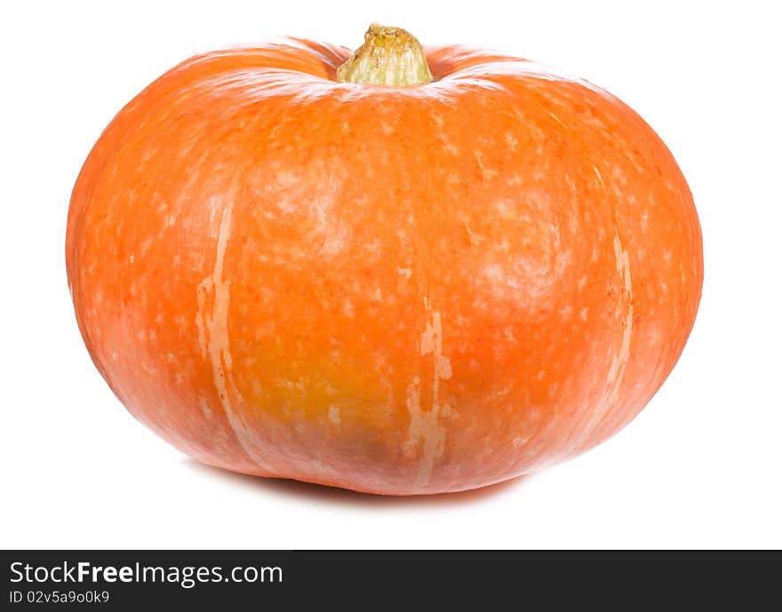 Fresh pumpkin on white background