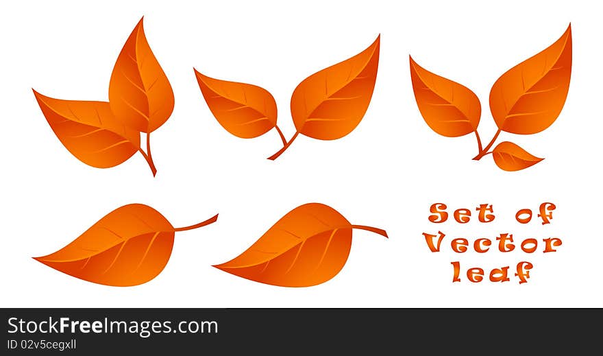 Isolated Vector illustration For Design. Isolated Vector illustration For Design