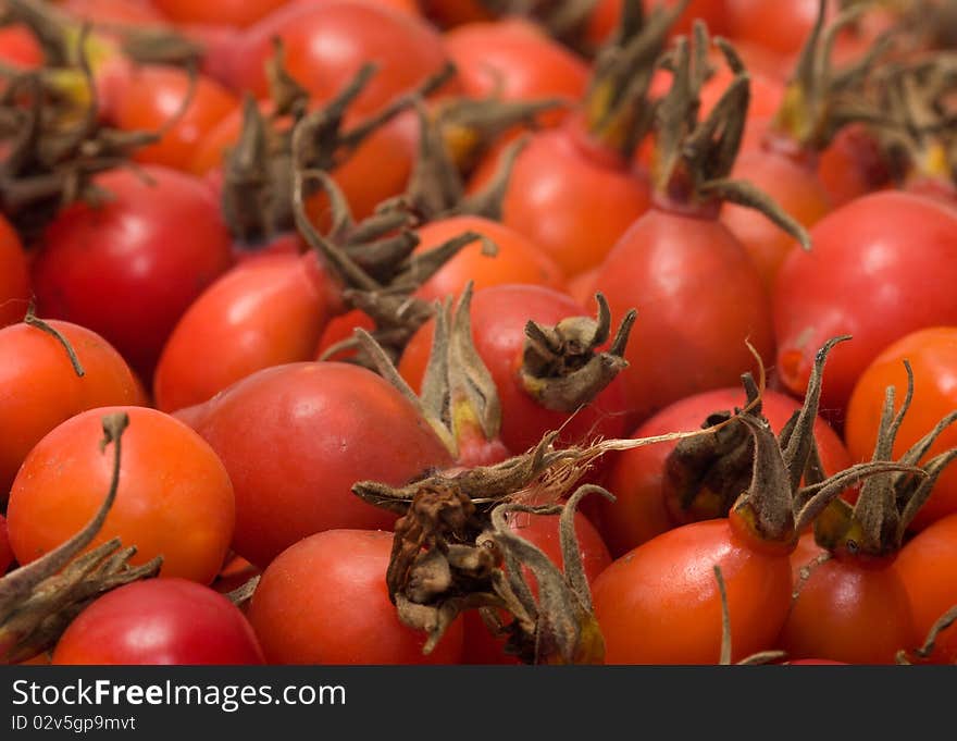 Close up shot background of dogrose hips.