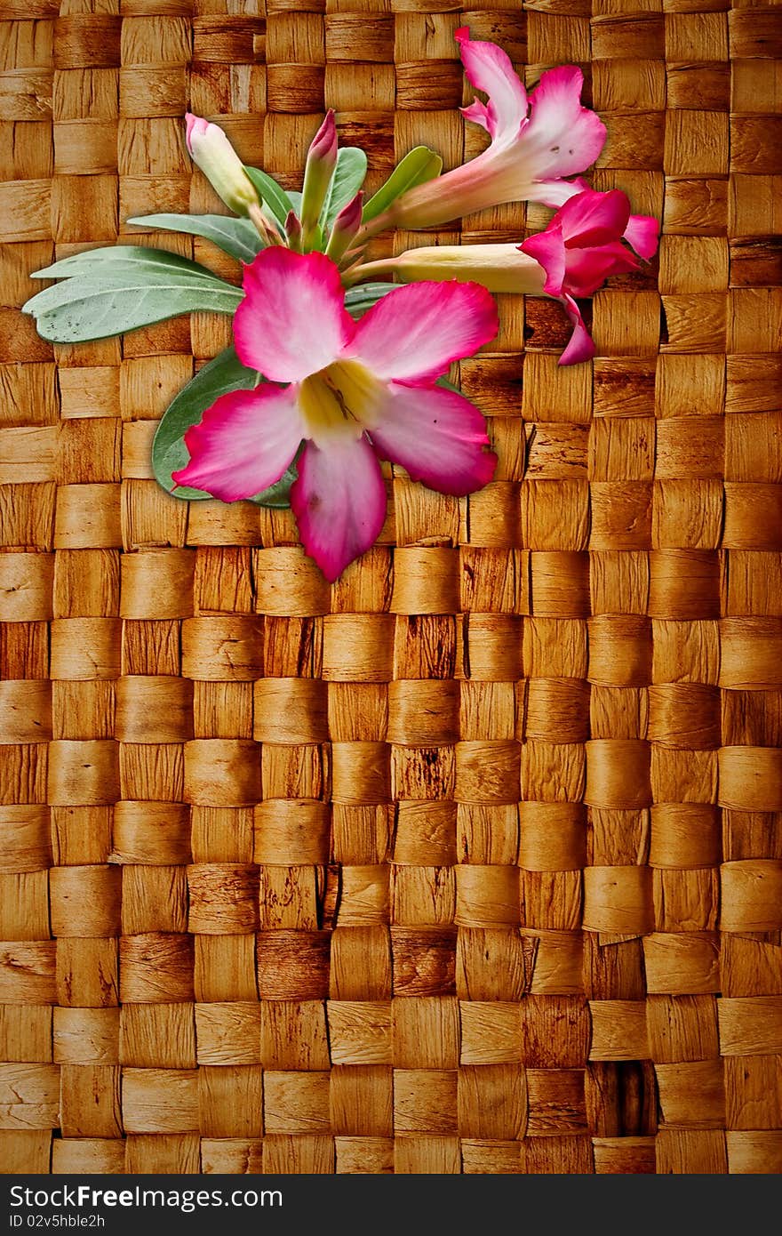 Pink Impala Lily on hyacinth hand weave