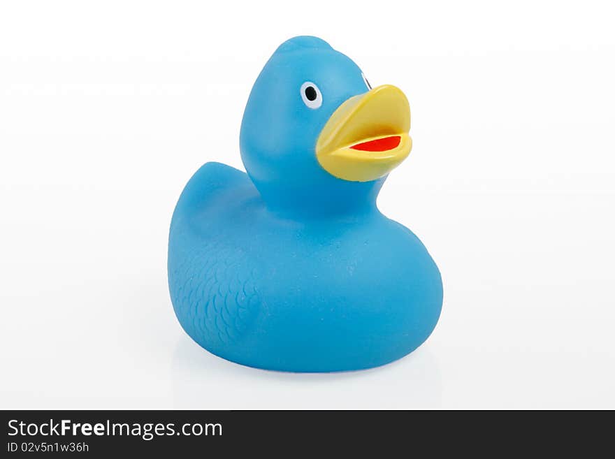 Rubber Blue Duck