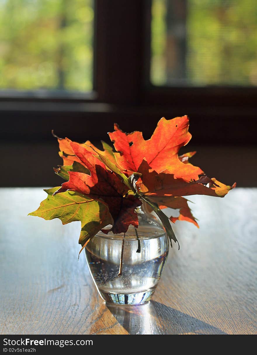 Autumn maple leaves in a small vase sitting on an oak table. Autumn maple leaves in a small vase sitting on an oak table.