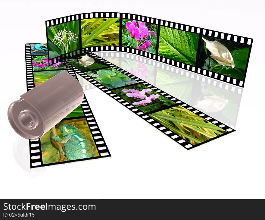 3d film roll with colour pictures (nature).