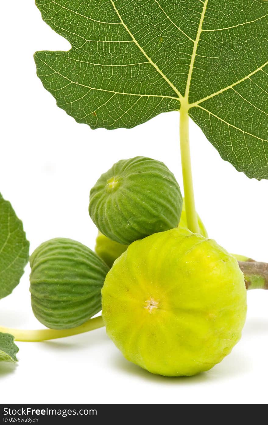 Vertical plane of figs