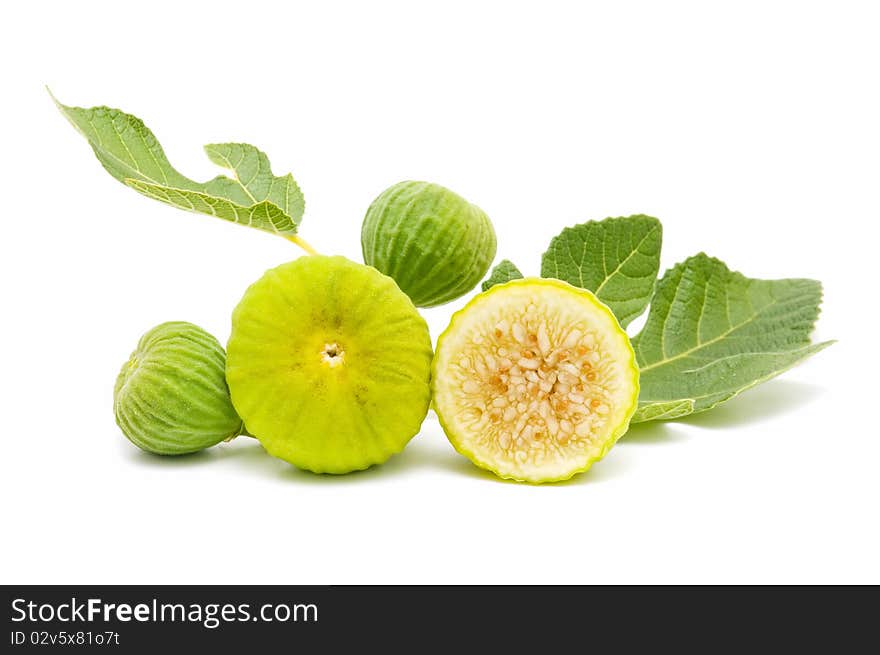 Yellow fig leaves