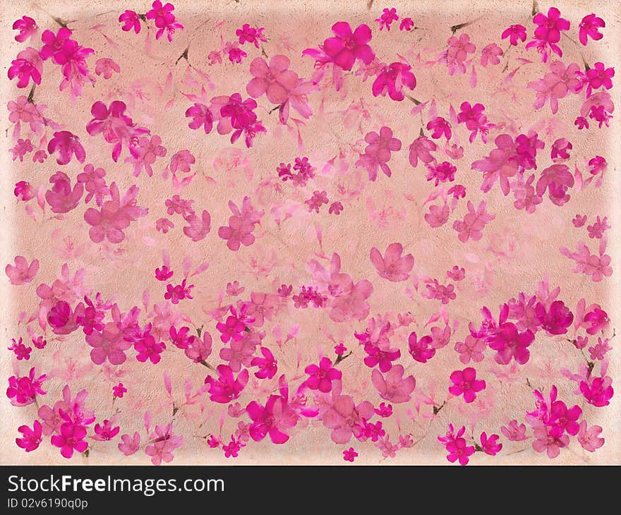 Pink blossom flower on parchment with banner or text space